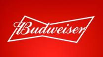 Anheuser-Busch - Budweiser (12 pack bottles) (12 pack bottles)